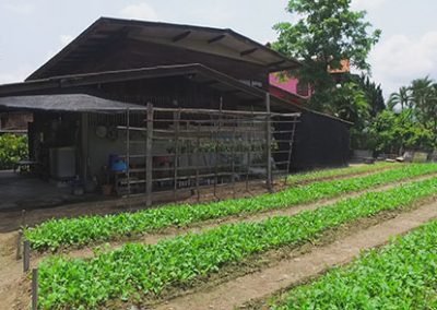 Baan Thi Homestay