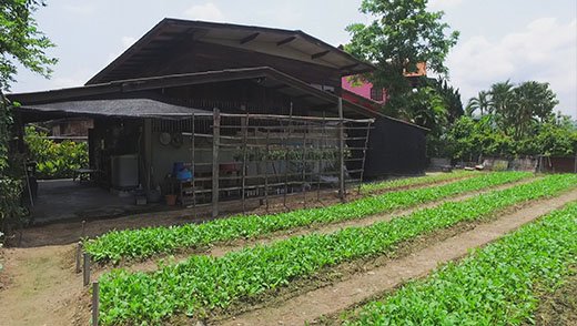 Baan Thi Homestay